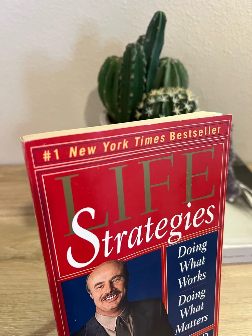 Life Strategies Dr Phil McGraw Paperback Book 1999 Self Help Psychology